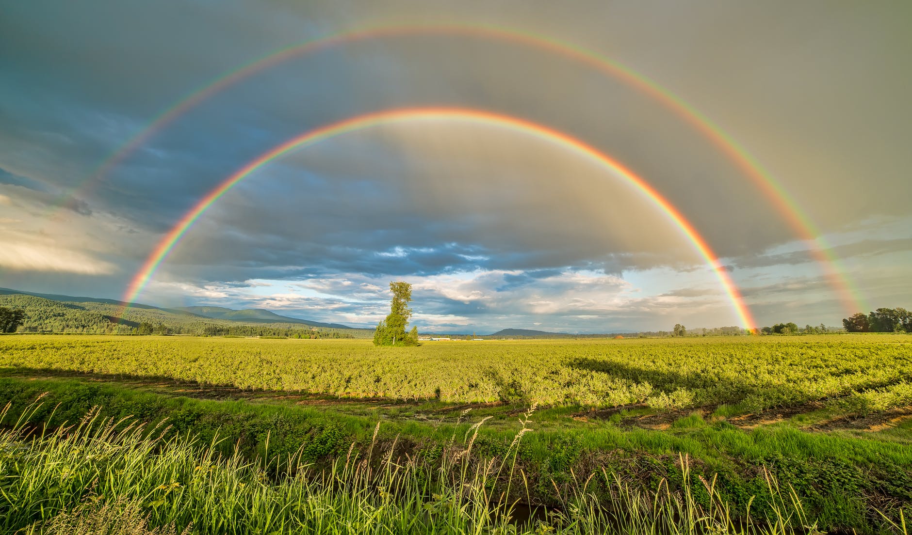 crop field under rainbow and cloudy skies at dayime